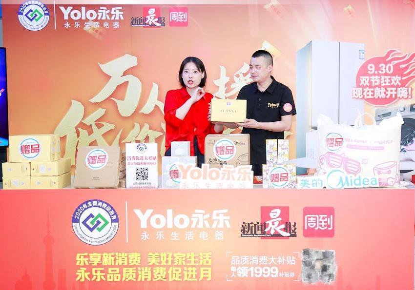 十一促销小家电稳中有升 国美销量榜透玄机