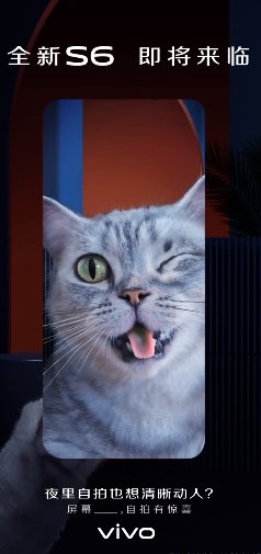 vivoS6再获官方曝光！自拍功能或有亮点