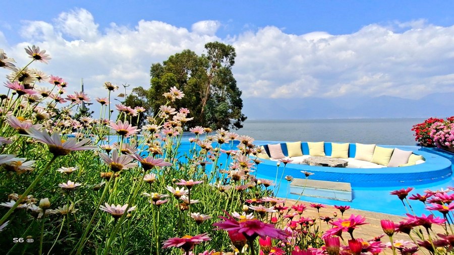 人间四月天vivoS6四摄镜头探云南四季风景美如画