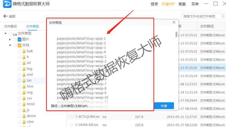u盘数据恢复找哪里？再也不用担心删除数据了