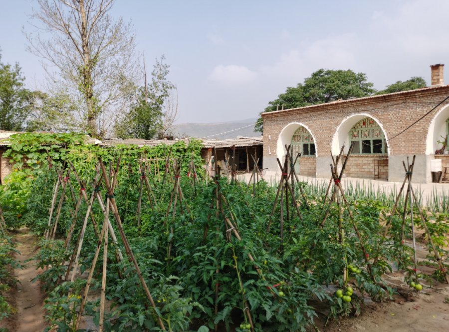 |黄土高原迎来“大挑战”，《温暖有光放映队》完满收官