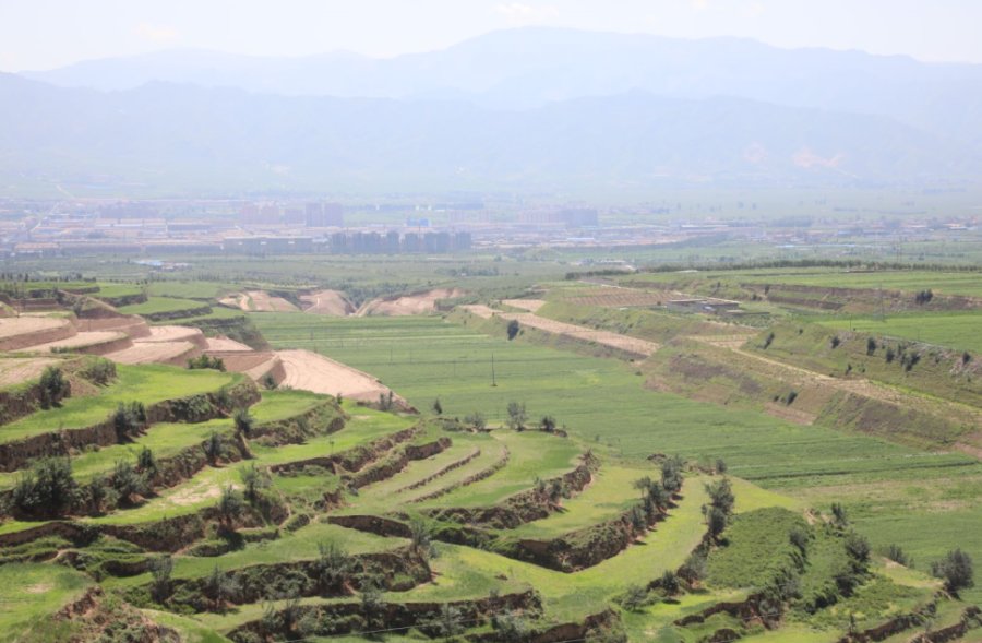 |黄土高原迎来“大挑战”，《温暖有光放映队》完满收官