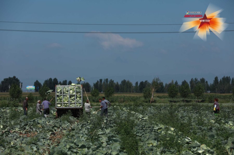 |黄土高原迎来“大挑战”，《温暖有光放映队》完满收官