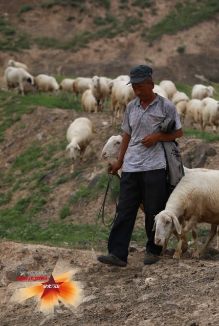 |黄土高原迎来“大挑战”，《温暖有光放映队》完满收官
