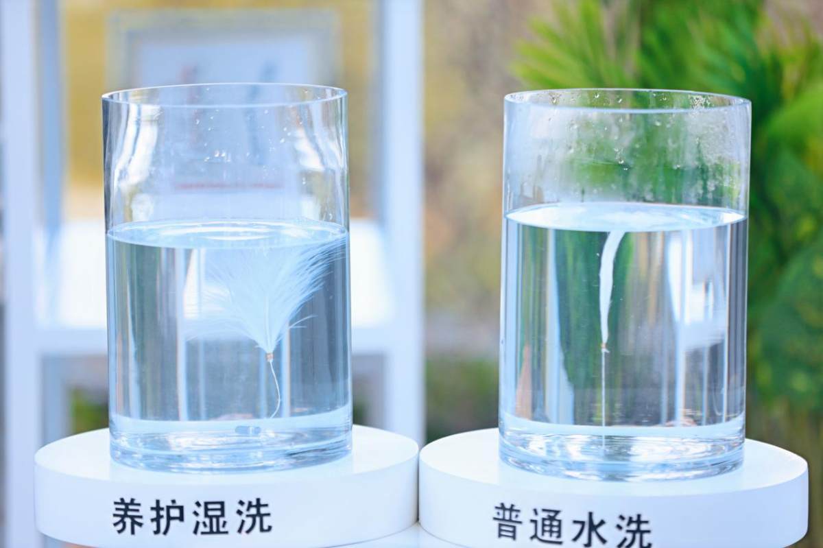 《本神》3.5版本前瞻特别节目播出，齐新角色迪希雅退场