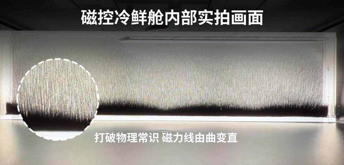 海尔AI磁控全空间保鲜冰箱冻鱼60天鲜香味美打破极限