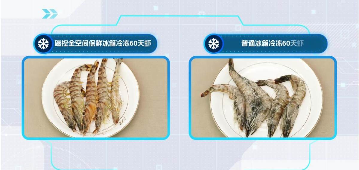 海尔AI磁控全空间保鲜冰箱冻鱼60天鲜香味美打破极限